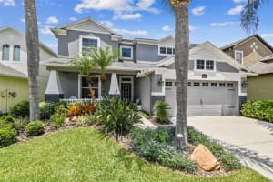 4309 WATERVILLE AVENUE, WESLEY CHAPEL, FL 33543 Sold 08/18/23