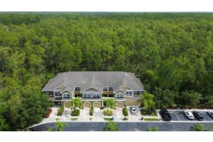 12612 SILVERDALE STREET, TAMPA, FL 33626 Sold 10/18/23