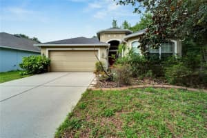 18315 CYPRESS BAY PARKWAY, LAND O LAKES, FL 34638 Sold 12/11/23