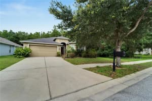 18315 CYPRESS BAY PARKWAY, LAND O LAKES, FL 34638 Sold 12/11/23