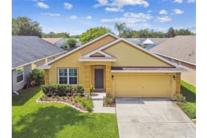 4512 LACE CASCADE COURT, LUTZ, FL 33558 Sold 08/31/23
