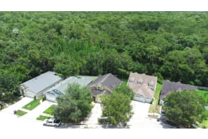 16106 STAGS LEAP DRIVE, LUTZ, FL 33559 Sold 07/31/23