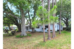 3407 LIGHTNER DRIVE, TAMPA, FL 33629 Sold 06/14/24