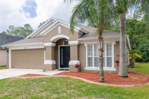 5839 WAR ADMIRAL DRIVE, WESLEY CHAPEL, FL 33544 Sold 08/16/23