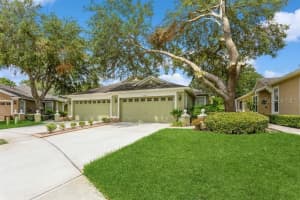 19108 WHITE WING PLACE, TAMPA, FL 33647 Sold 01/26/24