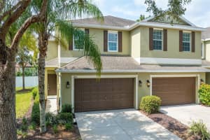 8615 FIDDLELEAF COURT, TAMPA, FL 33647 Sold 07/28/23