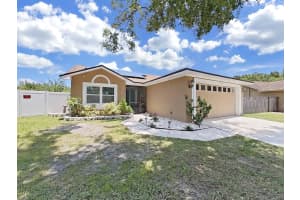 10820 PEPPERSONG DRIVE, RIVERVIEW, FL 33578 Sold 09/13/23