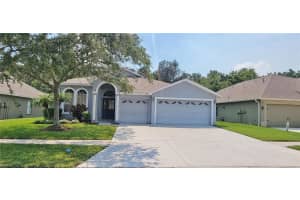 1231 BIG CREEK DRIVE, WESLEY CHAPEL, FL 33544 Sold 01/19/24