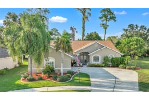9233 IRONDALE LANE, HUDSON, FL 34667 Sold 08/03/23