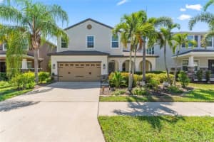 12016 LEGACY BRIGHT STREET, RIVERVIEW, FL 33578 Sold 09/11/23