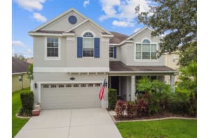 19236 EARLY VIOLET DRIVE, TAMPA, FL 33647 Sold 08/31/23