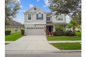 19236 EARLY VIOLET DRIVE, TAMPA, FL 33647 Sold 08/31/23