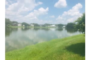 308 LAKE PARSONS GREEN, BRANDON, FL 33511 Sold 05/15/24