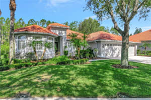 10254 ARBOR SIDE DRIVE, TAMPA, FL 33647 Sold 08/15/23