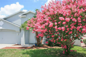 524 NAPA VALLEY CIRCLE, VALRICO, FL 33594 Sold 08/10/23