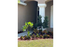 11650 TROPICAL ISLE LANE, RIVERVIEW, FL 33579 Sold 09/15/23