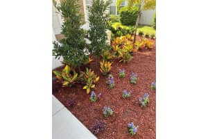 11650 TROPICAL ISLE LANE, RIVERVIEW, FL 33579 Sold 09/15/23