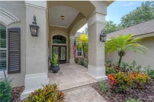 3933 PRESIDENTIAL DRIVE, PALM HARBOR, FL 34685 Sold 08/14/23