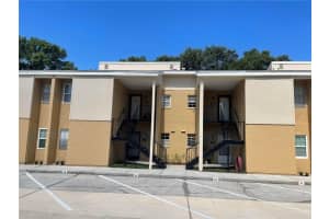3810 OAK DRIVE, TAMPA, FL 33611 Sold 09/07/23