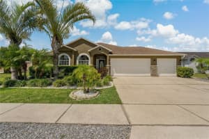 11317 LOUISA MAY WAY, RIVERVIEW, FL 33569 Sold 11/01/23