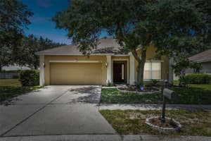 5919 DESERT PEACE AVENUE, LAND O LAKES, FL 34639 Sold 08/15/23