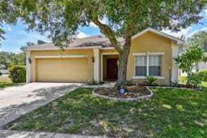 5919 DESERT PEACE AVENUE, LAND O LAKES, FL 34639 Sold 08/15/23