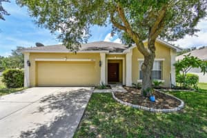 5919 DESERT PEACE AVENUE, LAND O LAKES, FL 34639 Sold 08/15/23