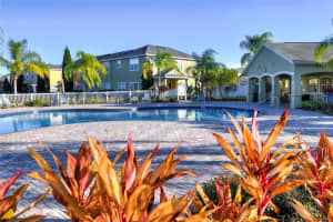 20109 INDIAN ROSEWOOD DRIVE, TAMPA, FL 33647 Sold 09/15/23