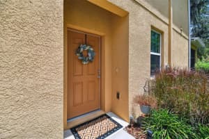13915 RIVER WILLOW PLACE, TAMPA, FL 33637 Sold 10/03/23