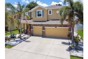 10413 Hampton Meadow Way, RIVERVIEW