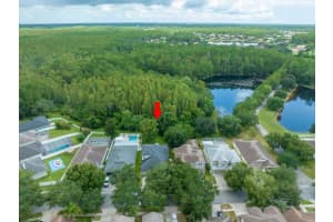 4841 SKY BLUE DRIVE, LUTZ, FL 33558 Sold 09/12/23