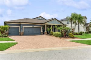 13221 FAWN LILY DRIVE, RIVERVIEW, FL 33579 Sold 11/17/23