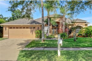 22810 BAY CEDAR DRIVE, LAND O LAKES, FL 34639 Sold 08/17/23