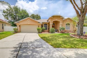 311 COUNTRY VINEYARD DRIVE, VALRICO, FL 33594 Sold 10/10/23