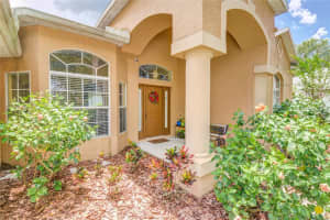 311 COUNTRY VINEYARD DRIVE, VALRICO, FL 33594 Sold 10/10/23