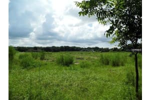 10201 TIMMONS ROAD, THONOTOSASSA, FL 33592 - MLS#MFRT3457837