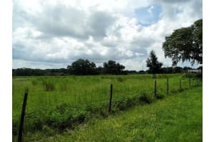 10201 TIMMONS ROAD, THONOTOSASSA, FL 33592 - MLS#MFRT3457837