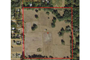 10201 TIMMONS ROAD, THONOTOSASSA, FL 33592 - MLS#MFRT3457837