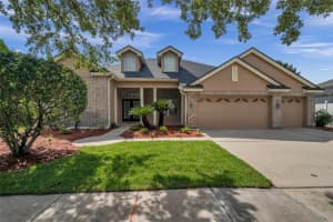 19228 AUTUMN WOODS AVENUE, TAMPA, FL 33647 Sold 08/18/23