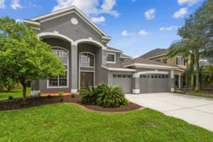 3536 VALENCIA COVE COURT, LAND O LAKES, FL 34639 Sold 02/29/24