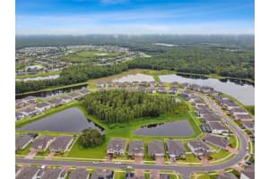 11059 SUNDRIFT DRIVE, TAMPA, FL 33647 Sold 08/23/23