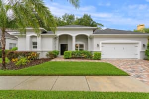 10437 CANARY ISLE DRIVE, TAMPA, FL 33647 Sold 08/18/23