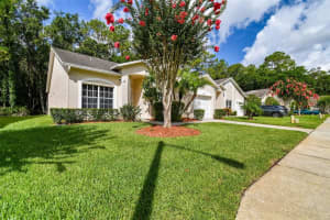 3468 TEALWOOD CIRCLE, PALM HARBOR, FL 34685 Sold 08/17/23