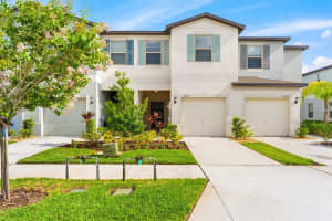 7235 SWEET ALYSSUM COURT, TAMPA, FL 33619 Sold 08/11/23