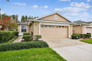 19344 HASKELL PLACE, LAND O LAKES, FL 34638 Sold 08/09/23