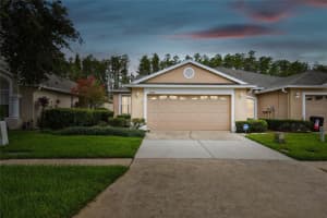 19344 HASKELL PLACE, LAND O LAKES, FL 34638 Sold 08/09/23