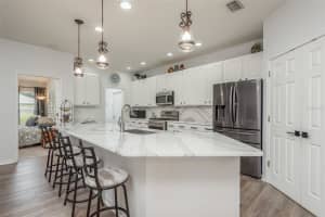 8721 CRYSTAL CREEK COURT, LAND O LAKES, FL 34638 Sold 12/28/23