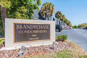 4315 AEGEAN DRIVE, TAMPA, FL 33611 Sold 08/08/23
