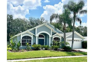 15029 MEADOWLAKE STREET, ODESSA, FL 33556 Sold 09/20/23