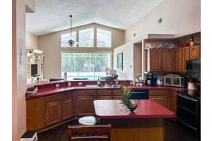 15029 MEADOWLAKE STREET, ODESSA, FL 33556 Sold 09/20/23